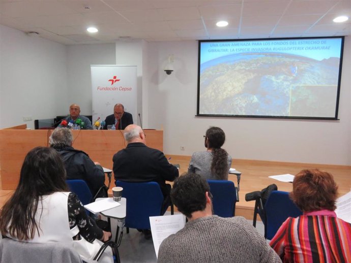 Presentación estudio de Fundación Cepsa de alga en Bahía de Algeciras
