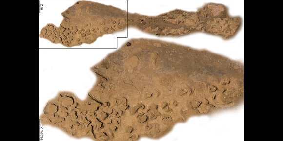 4. Huellas de los tres grupos principales de dinosaurios en una sola senda