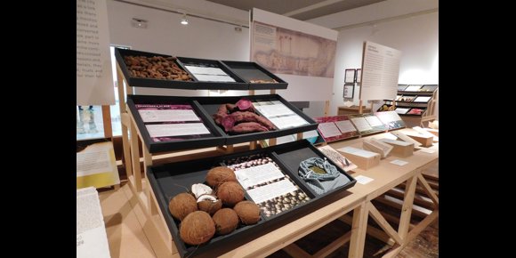 3. La exposición 'Sabores que cruzaron los océanos' se inaugura el 19 de febrero en el Archivo General de Indias de Sevilla