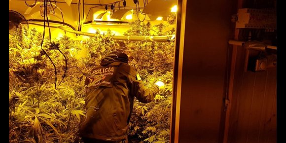 4. Prisión para siete de 18 detenidos en la operación contra el tráfico de drogas en Tarragona