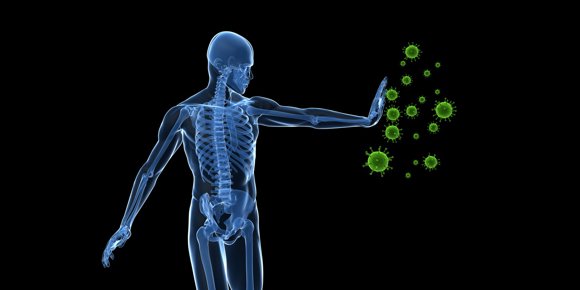 9. Un vistazo a cómo se prepara el sistema inmunológico para combatir las infecciones