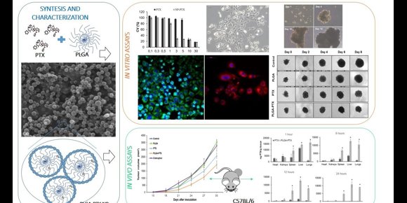 10. Logran sintetizar nuevos nanofármacos con mayor efecto frente al cáncer