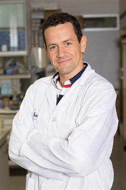 Manuel Sánchez de la Torre