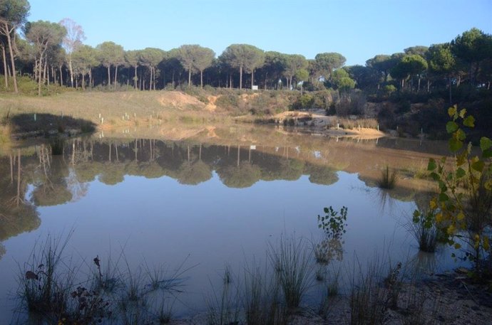 Humedal del Lince, en Doñana