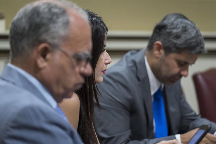 Curbelo (i), junto a los diputados