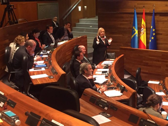 Intervención de la portavoz del PP, Mercedes Fernández, en el Pleno de la Junta.