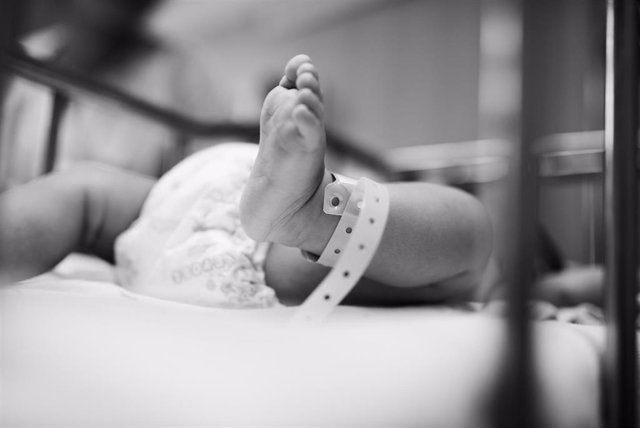 Bebé recién nacido, maternidad, hospital, recurso