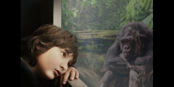 2. ¿Qué nos hace humanos? Descubriendo la evolución del cerebro