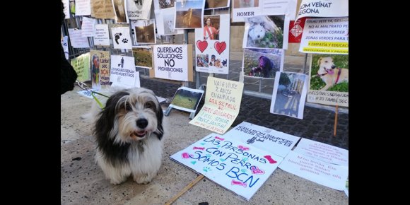 1. Unas 500 personas se manifiestan en Barcelona por los derechos de los perros y sus dueños