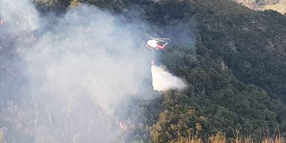 9. Aumentan a 50 los incendios forestales activos