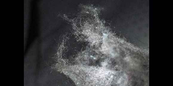 5. Fibras sintéticas han producido una contaminación invisible y ubicua