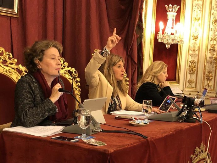 Pleno de la Diputación de Cádiz