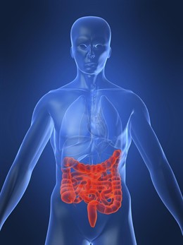 Enfermedad de Crohn, intestino, enfermedad intestinal