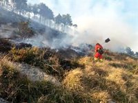El Gobierno de Cantabria desactiva el plan especial de incendios forestales y la UME se retira