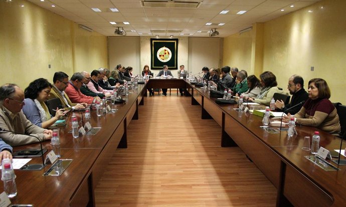 Consejo de Gobierno de la Universidad de Jaén.