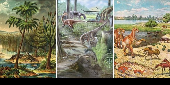 9. La diversidad de vertebrados terrestres es como tras los dinosaurios