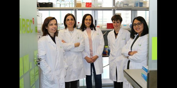 2. Logran generar pequeños riñones usando células madre humanas