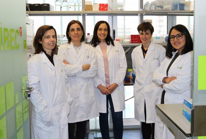 El grupo de investigadoras del IBEC liderado por Núria Montserrat