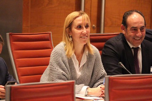 La senadora del PP por Mallorca, Catalina Soler
