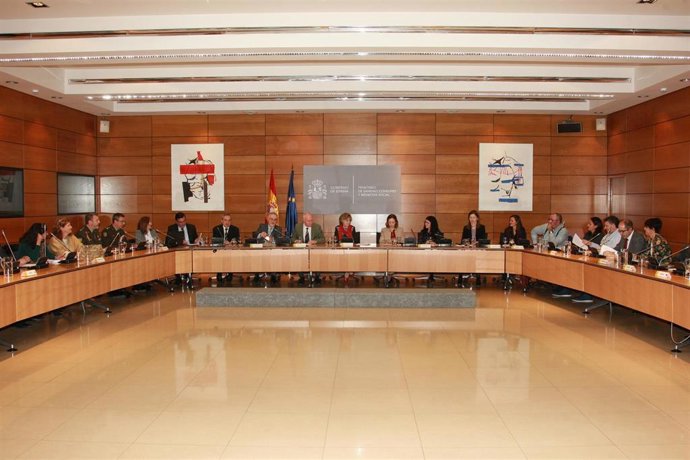 La ministra de Sanidad, María Luisa Carcedo, se reune con los consejeros de las 