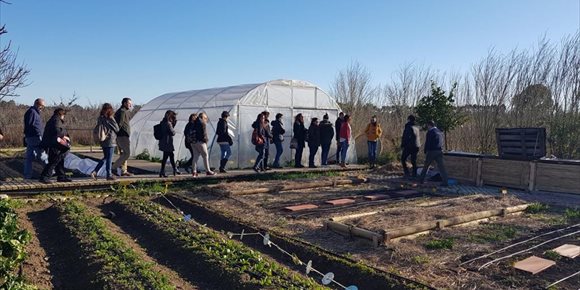 10. Más de 2.000 escolares de la provincia de Cádiz participarán en un nuevo proyecto de 'La Casa de los Colores'