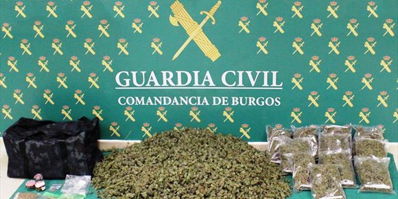 3. Dos detenidos en Burgos y desmantelado un laboratorio de cannabis con 900 plantas