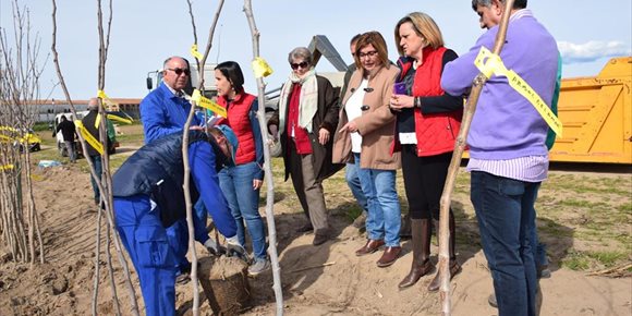 1. La Diputación de Cáceres entrega a 88 ayuntamientos plantas ornamentales para decorar sus municipios