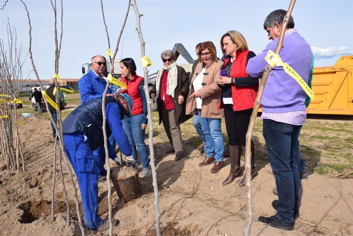 Campaña de arbolado de la Diputación de Cáceres en 2018