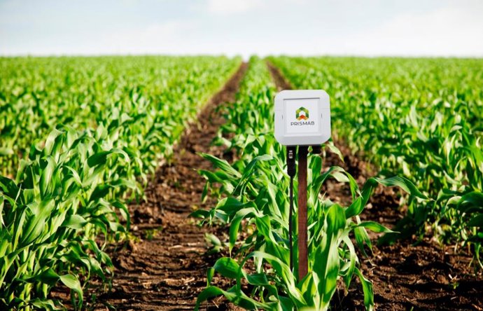 Uno de los sensores de PRISMAB