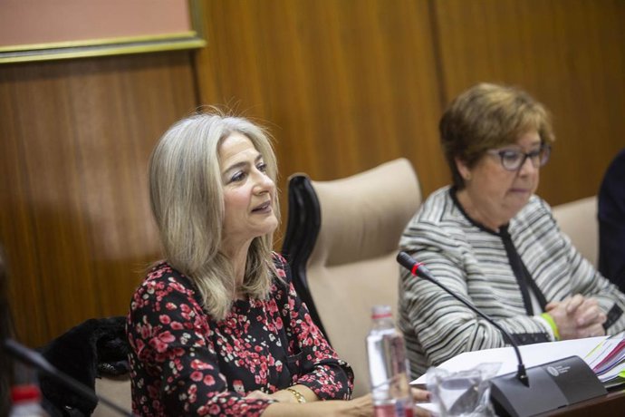 Patricia del Pozo, durante la comisión, este miércoles