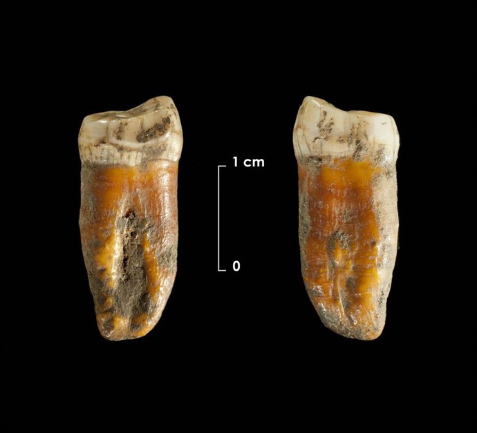 El IIIPC colabora con la televisión pública japonesa NHK en un documental sobre 