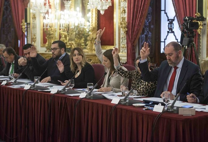 El Pleno de la Diputación de febrero de 2019