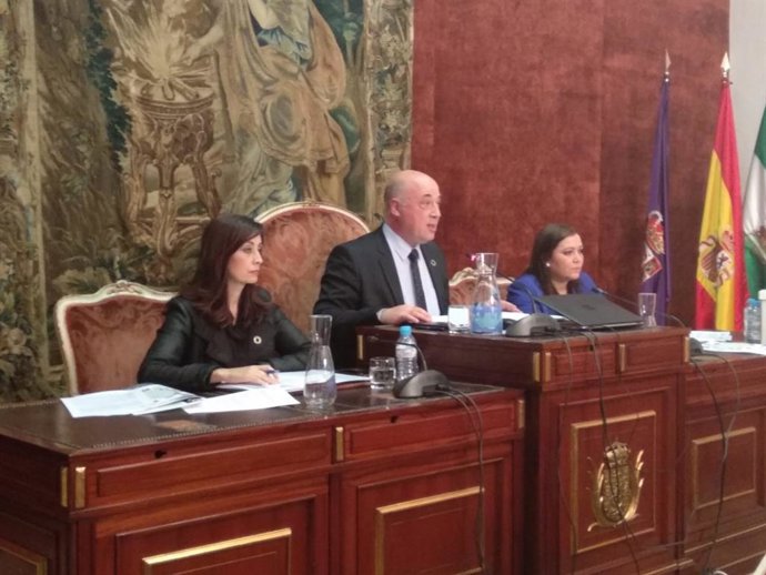 Antonio Ruiz preside el Pleno de la Diputación