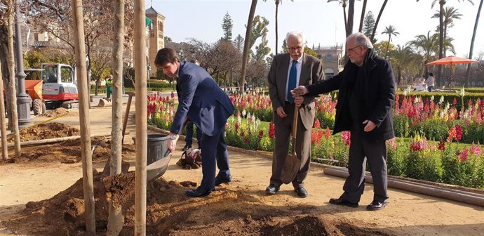 Guevara y Castillo, en el inicio de la plantación en María Luisa
