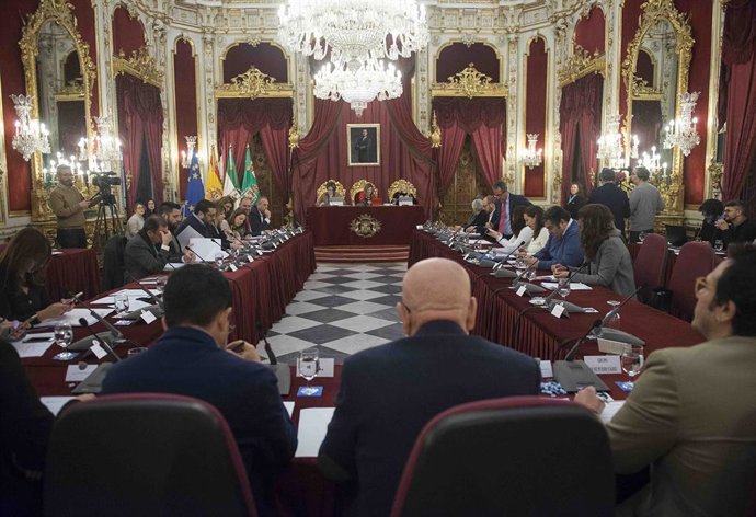 Pleno de la Diputación de Cádiz