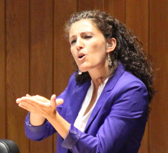 María Luz Esteban Saiz, Directora Del Centro De Normalización Lingüística De La 