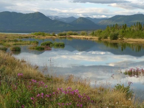 Darwin tenía razón: Las especies interactúan más hacia los trópicos