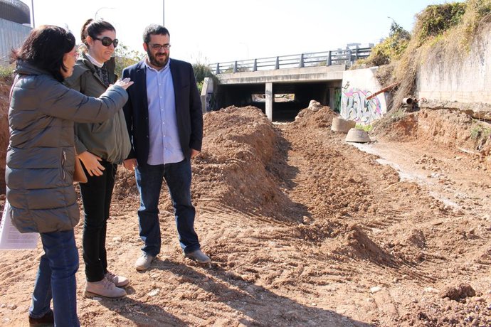 El conseller de Medi ambient, Agricultura i Pesca, Vicen Vidal,