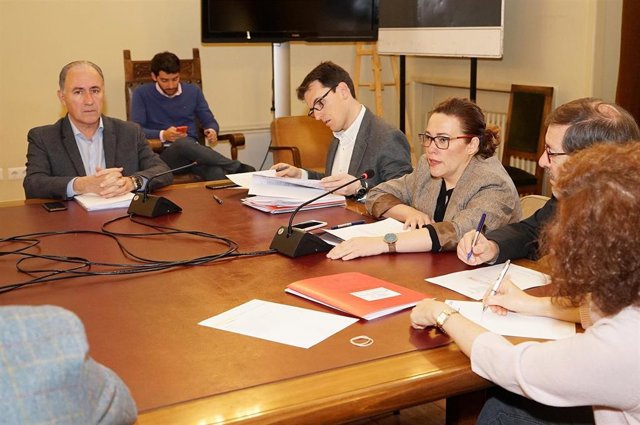 La comisión de La comisión de la SVAV concluye con un dictamen conjunto de PSOE