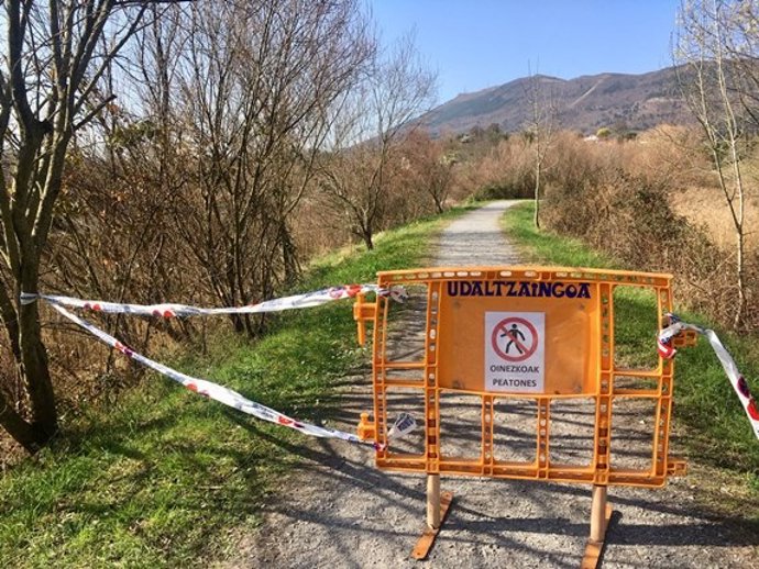 Buscan una serpiente venenosa en las marismas de Amute, en Hondarribia (Gipuzkoa