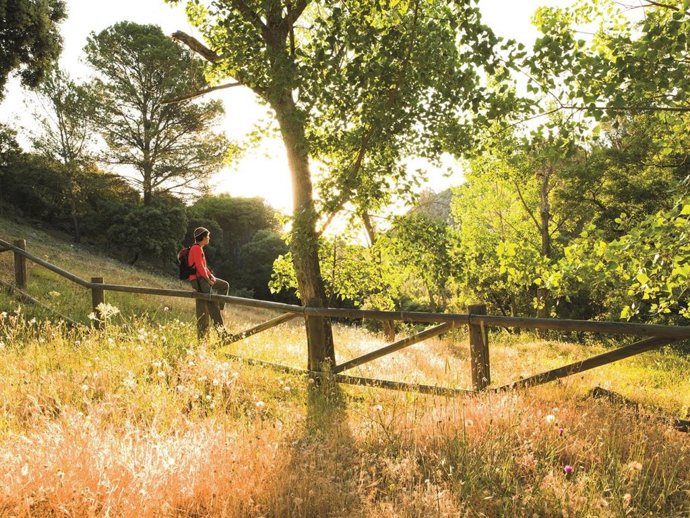 Turismo Costa Del Sol Presenta Los Atributos Del Destino En La Cumbre Mundial De