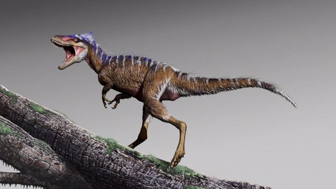 Nueva especie de diminuto tiranosaurio presagio del 'T. Rex'