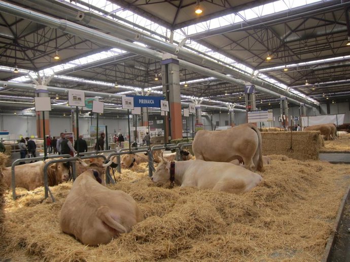 FIGAN entregará su Premio Excelencia a cinco ganaderías