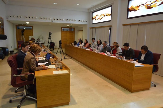 Pleno del Ayuntmaiento de Coín