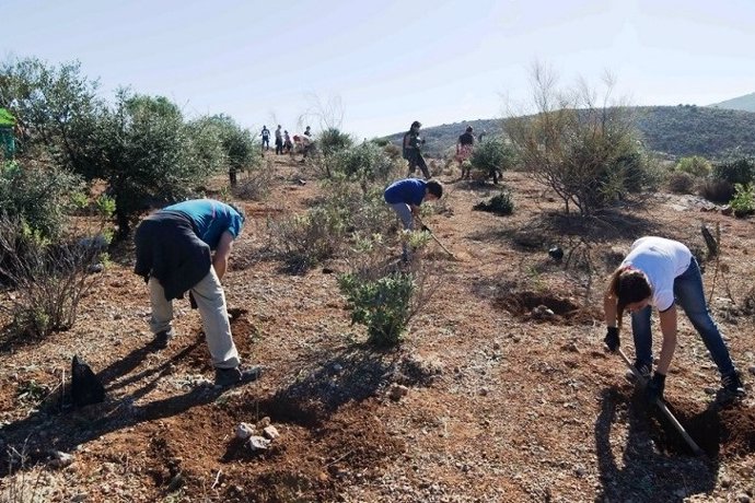 Málaga.- La Diputación retoma las plantaciones participativas con actividades en