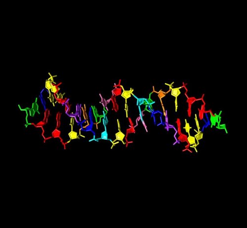 Un análogo del ADN hace repensar cómo sería la vida fuera de la Tierra