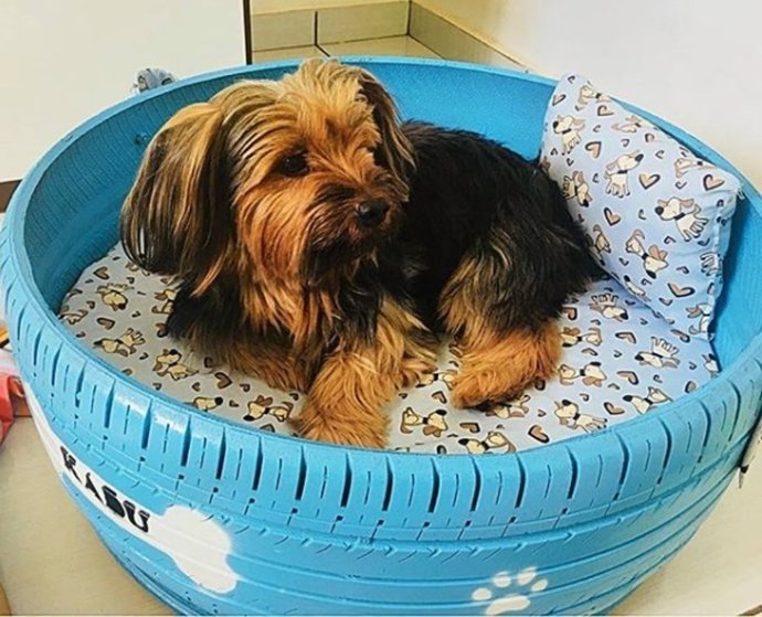 Como Hacer Camas Para Perros Con Material Reciclado Neumáticos