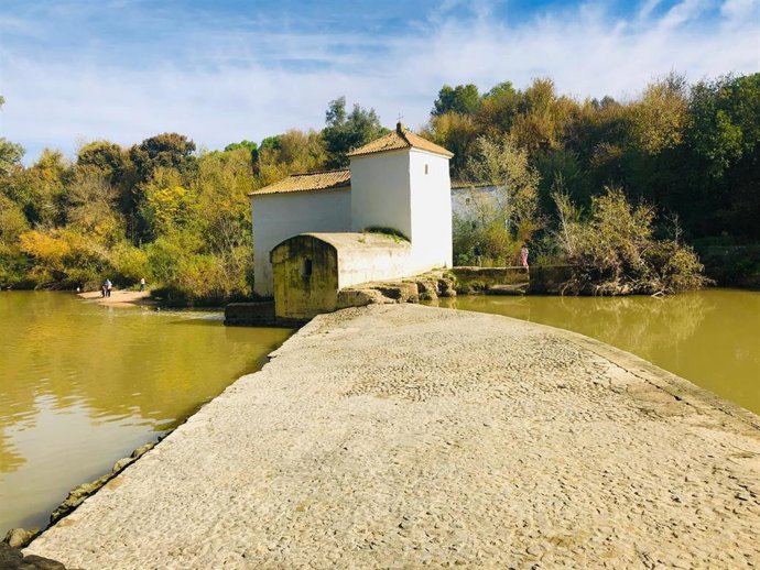 Gobierno Local De Alcalá De Guadaíra Aprueba El Estudio Que "Permitirá La Conces