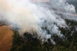 La superficie afectada por incendios forestales se redujo en Bizkaia a menos de 