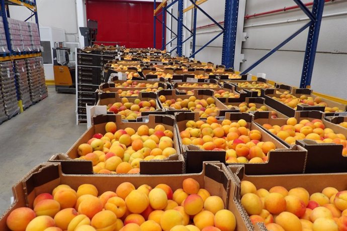 Naranjas en un Banco de Alimentos de España